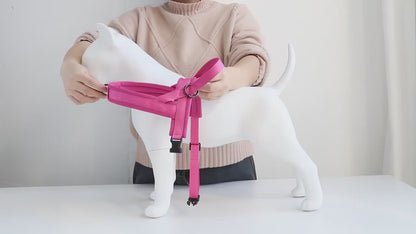 No-Pull Dog Harness – Reflective & Adjustable
